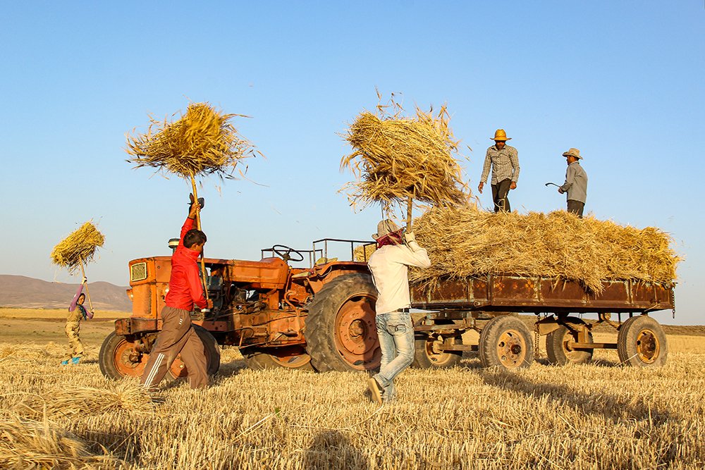 Photograph by Alireza Shahnazi