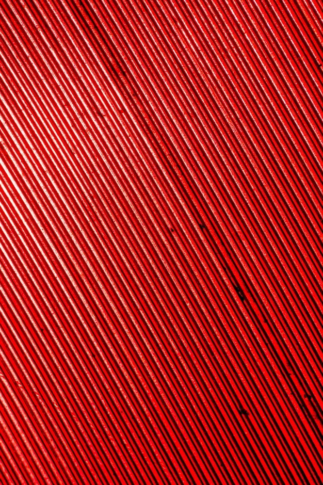 Photograph by Дмитрий Тимофеев