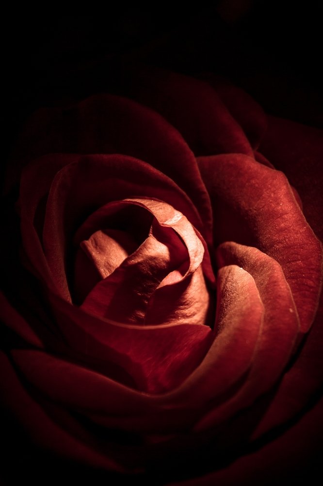 Photograph by Дмитрий Тимофеев