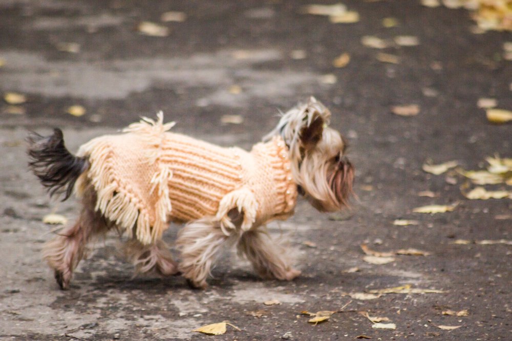 Photograph by Дмитрий Тимофеев