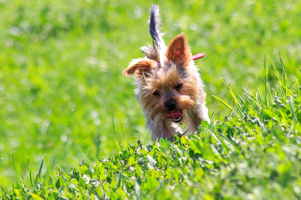 Photograph by Дмитрий Тимофеев