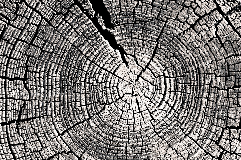 Photograph by Дмитрий Тимофеев