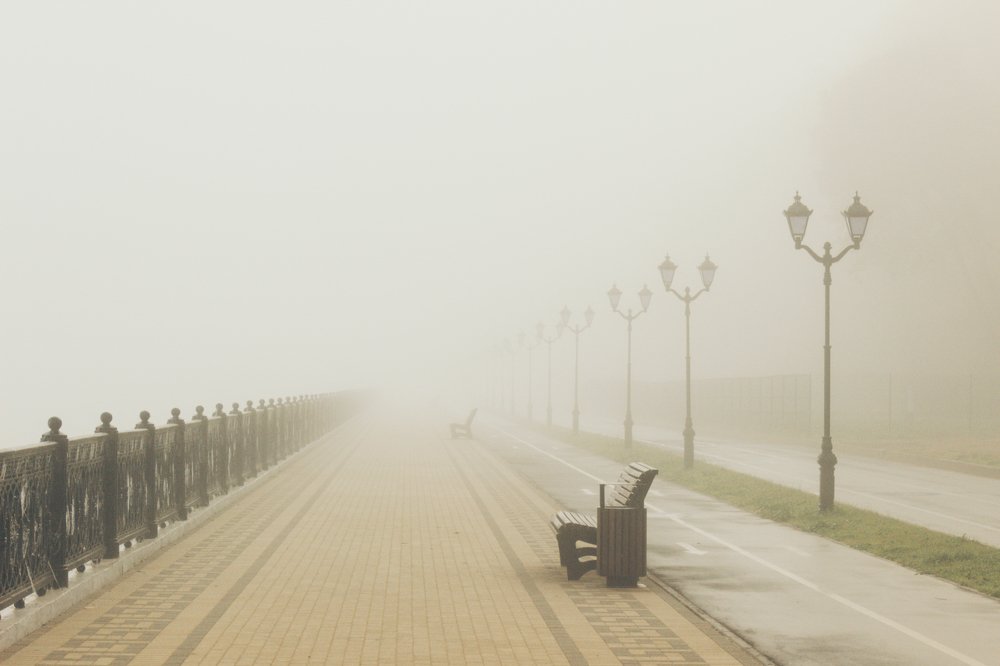 Photograph by Дмитрий Тимофеев