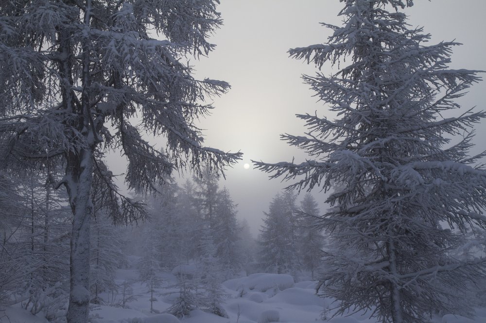 Photograph by Наталья Кузнецова