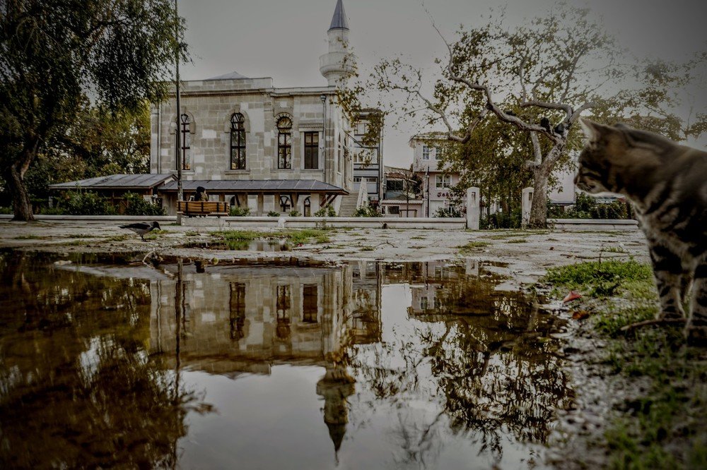 Photograph by GUNSEL SECKİNER