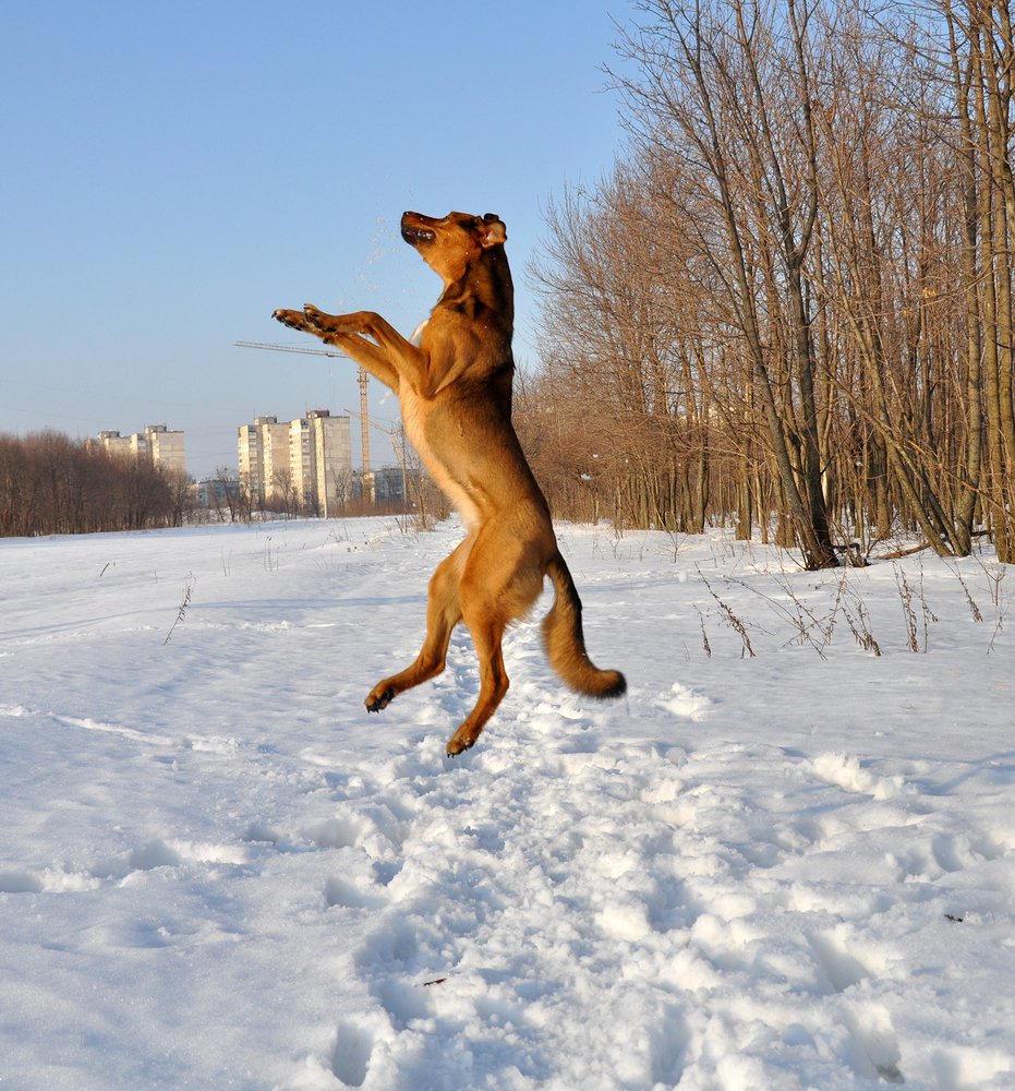 Прыжки в высоту - самое то для Герды