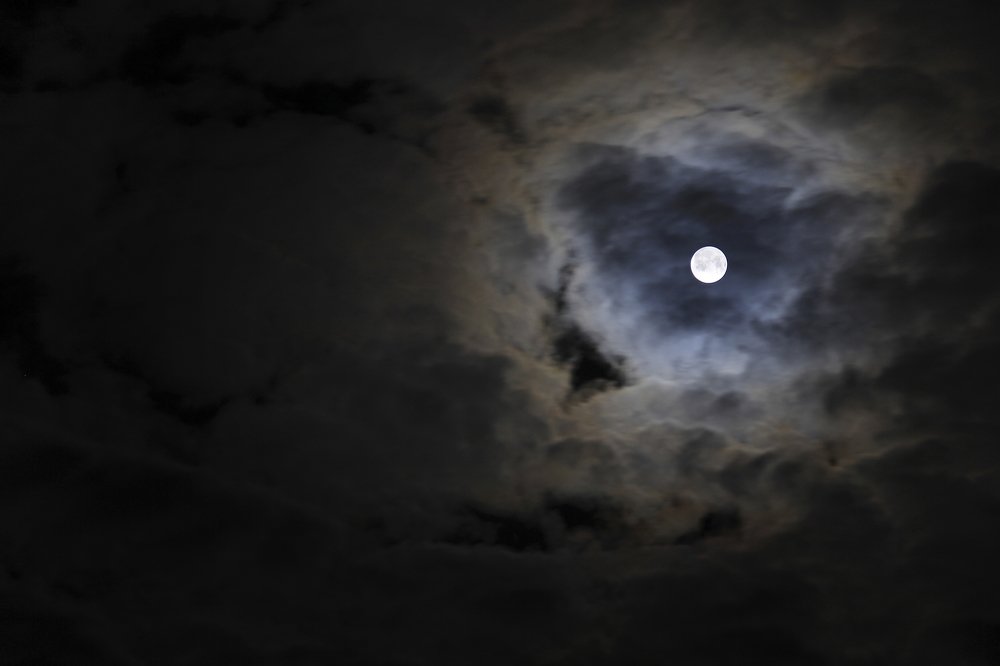 Photograph by Ирина Ягудина