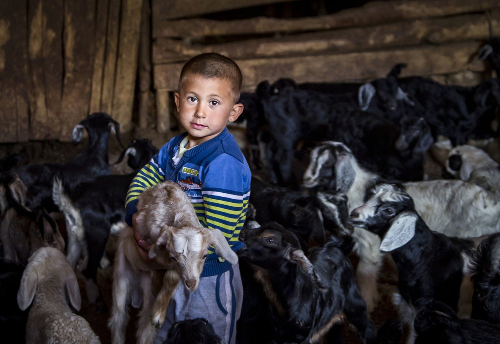 Photograph by Ibrahim Aysündü