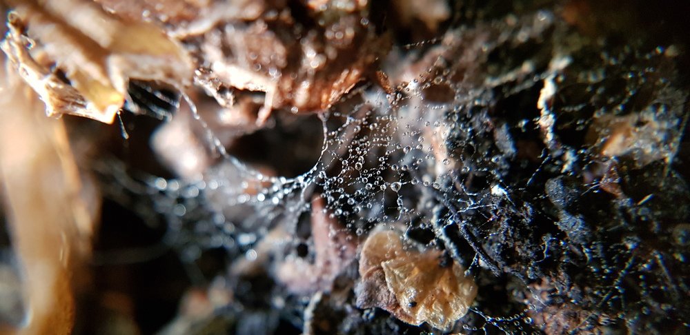 Волшебный мир.