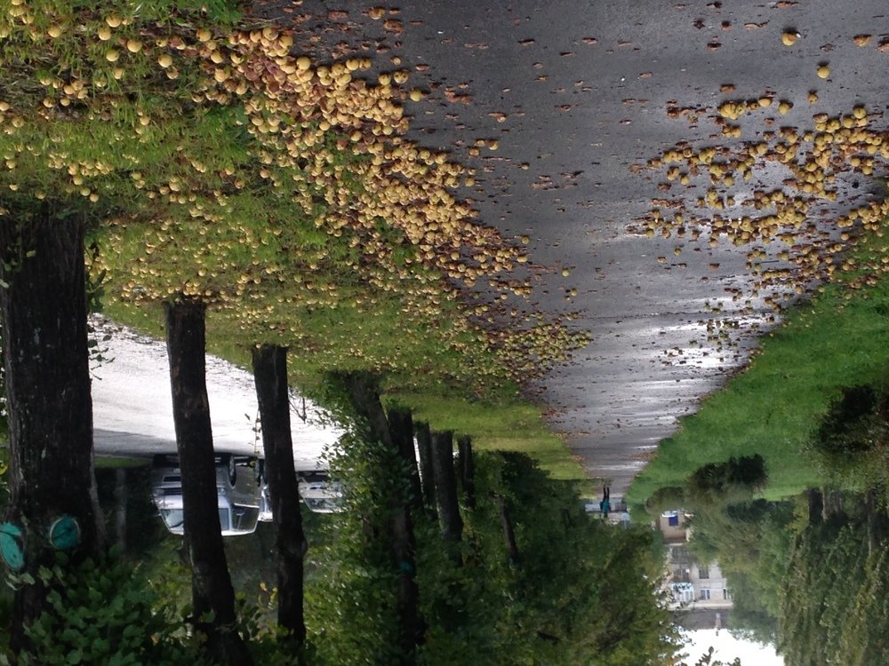 Photograph by Татьяна Гуськова