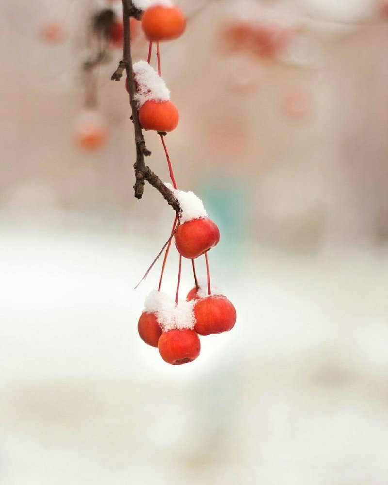 Photograph by Таня Короткова