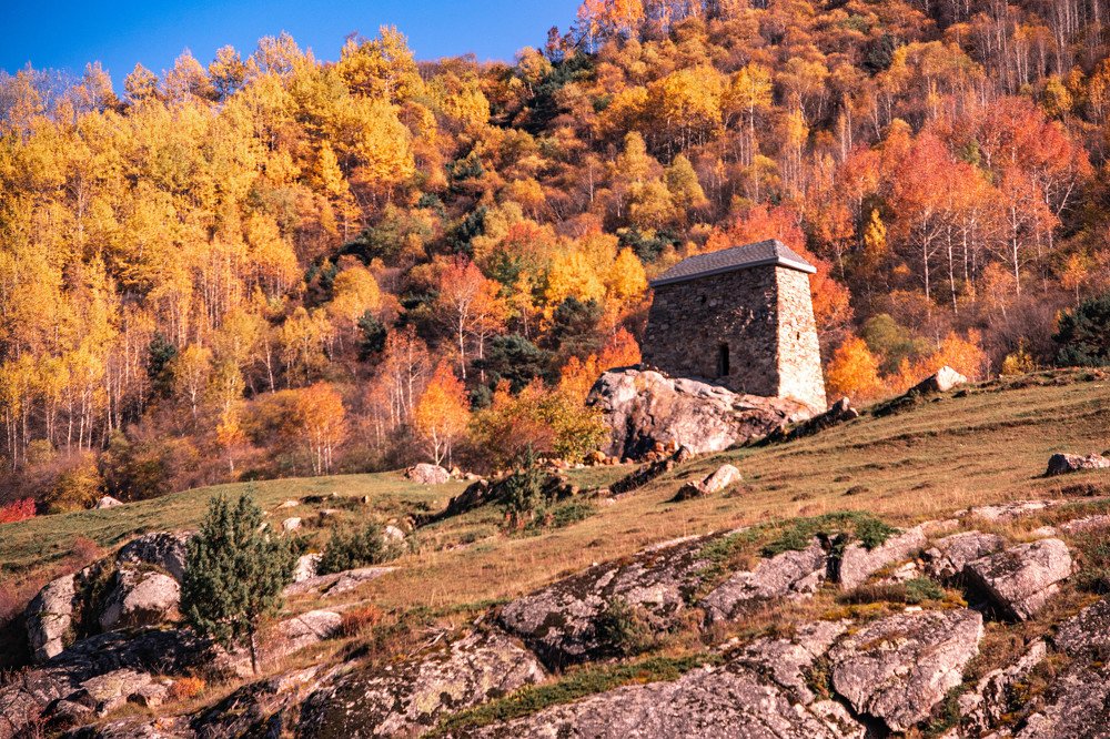 Photograph by Людмила Шафрай