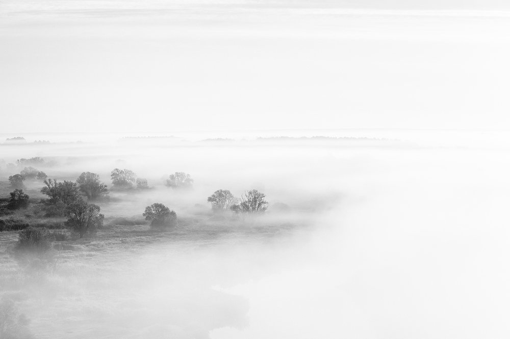 Наступающий туман.