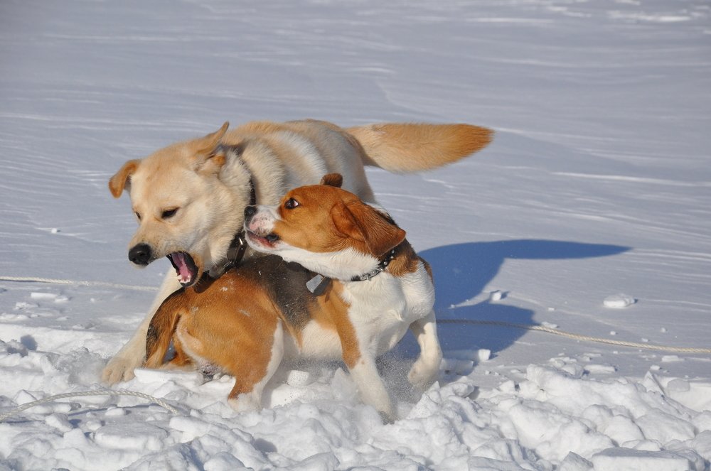 Photograph by Svetlana Khromova