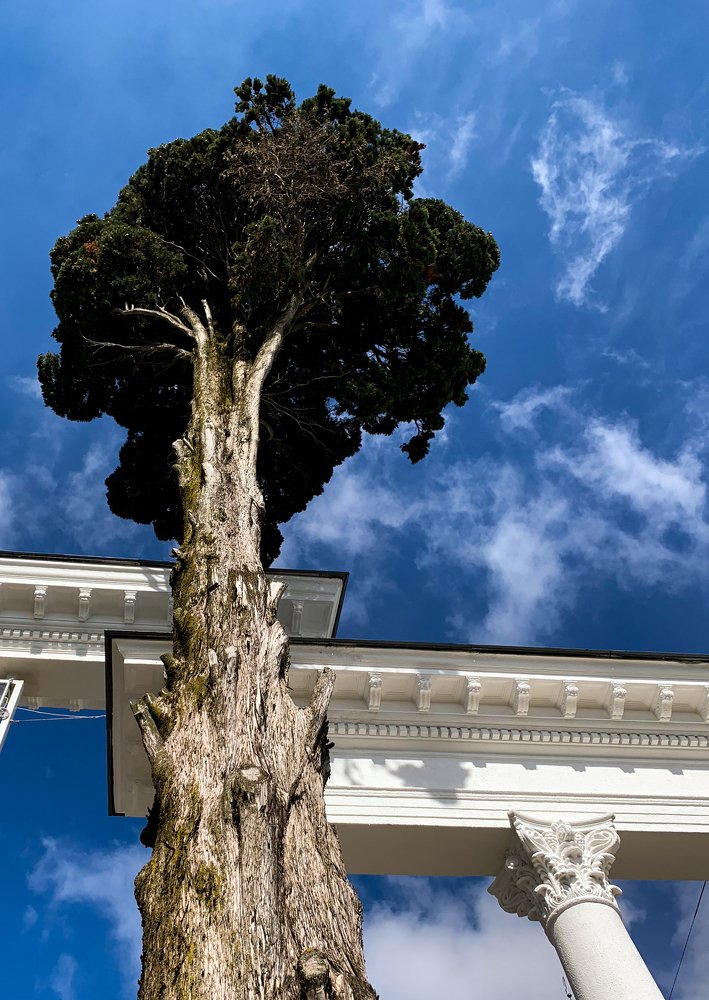 Photograph by Михаил Магид