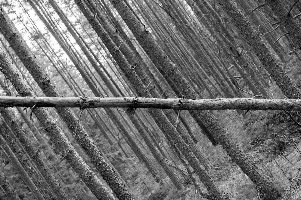 Photograph by Анастасия Завьялова