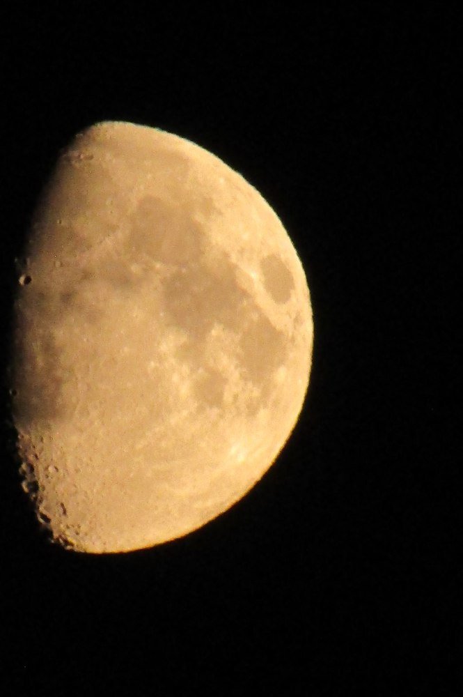 Photograph by Мария Глотова