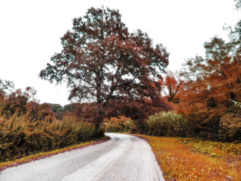 Photograph by Giuseppe Conzo