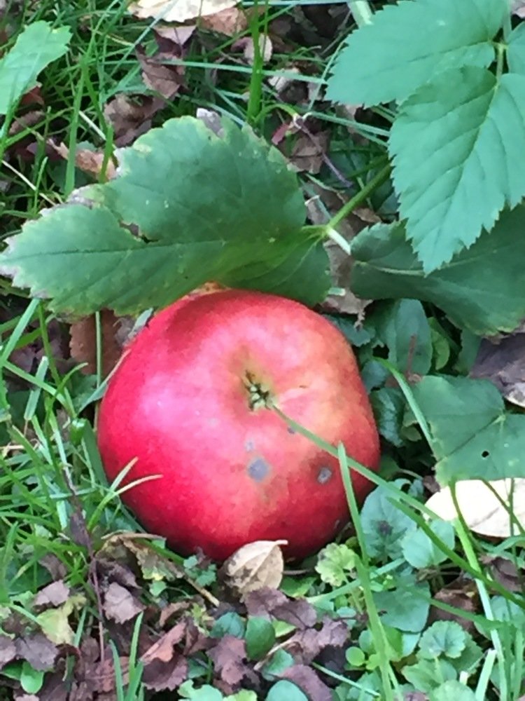 Photograph by Татьяна Гуськова