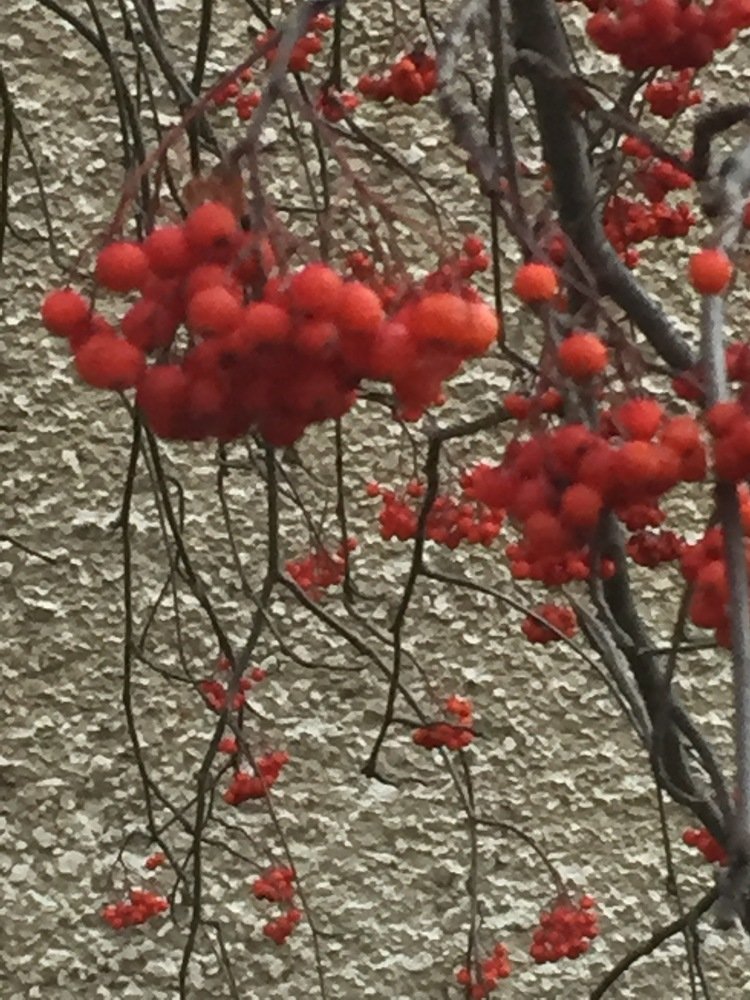 Photograph by Татьяна Гуськова