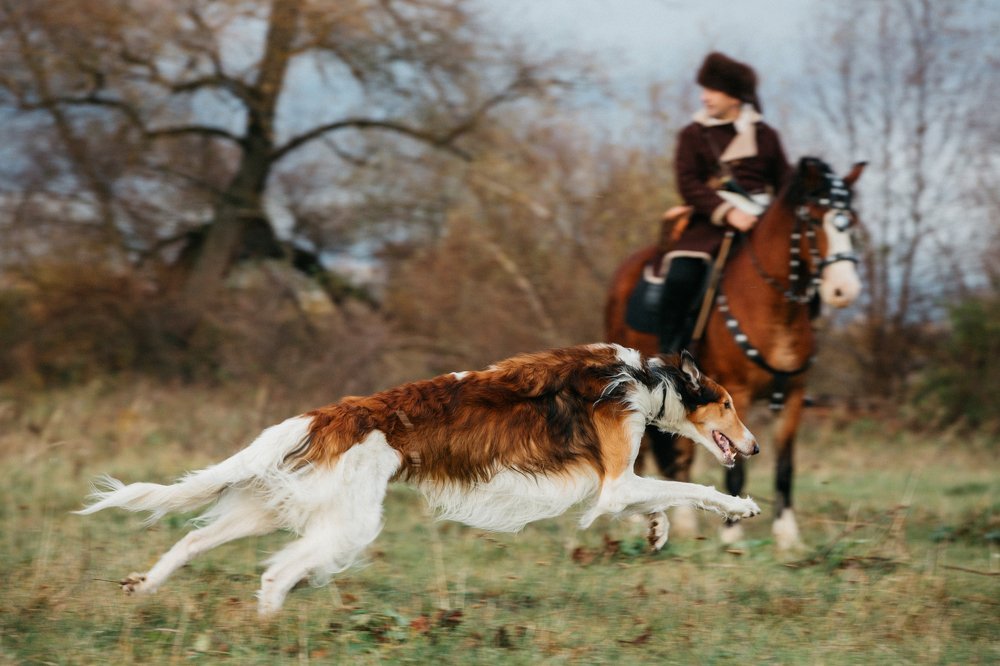 Photograph by Альбина Сагитова