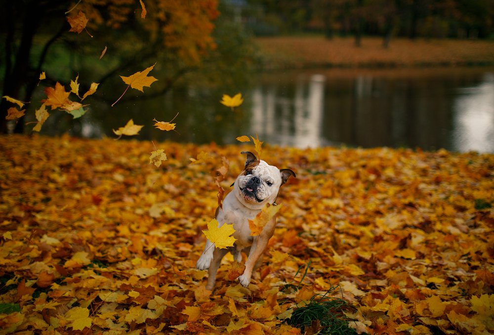 Photograph by Екатерина Крыга