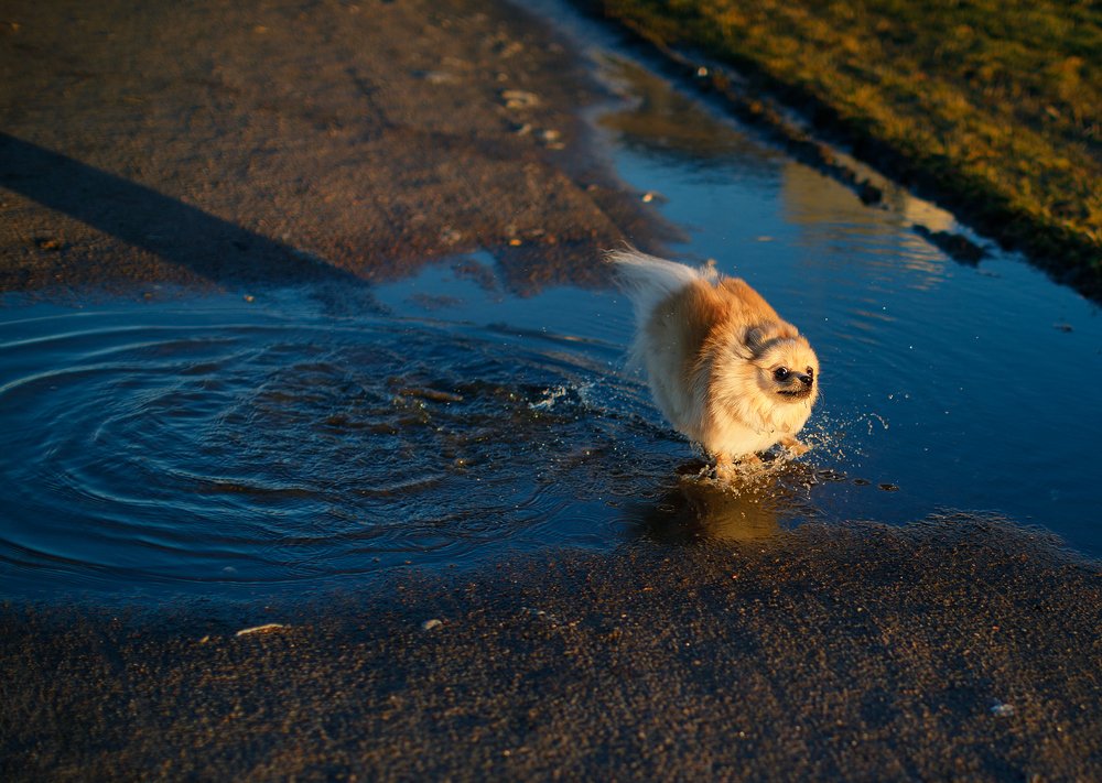 Photograph by Екатерина Крыга
