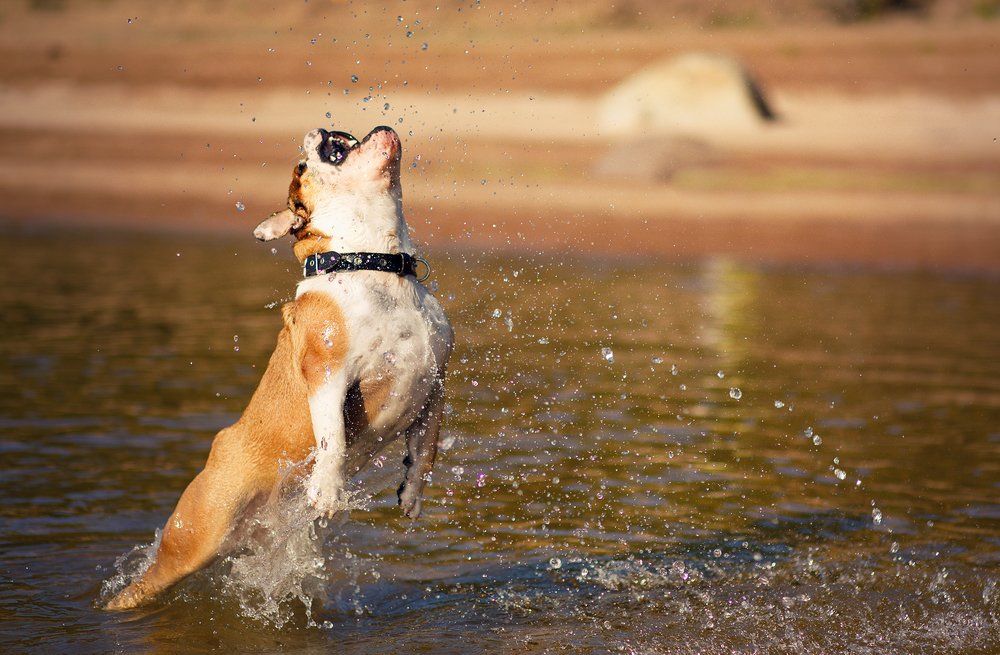 Photograph by Екатерина Крыга