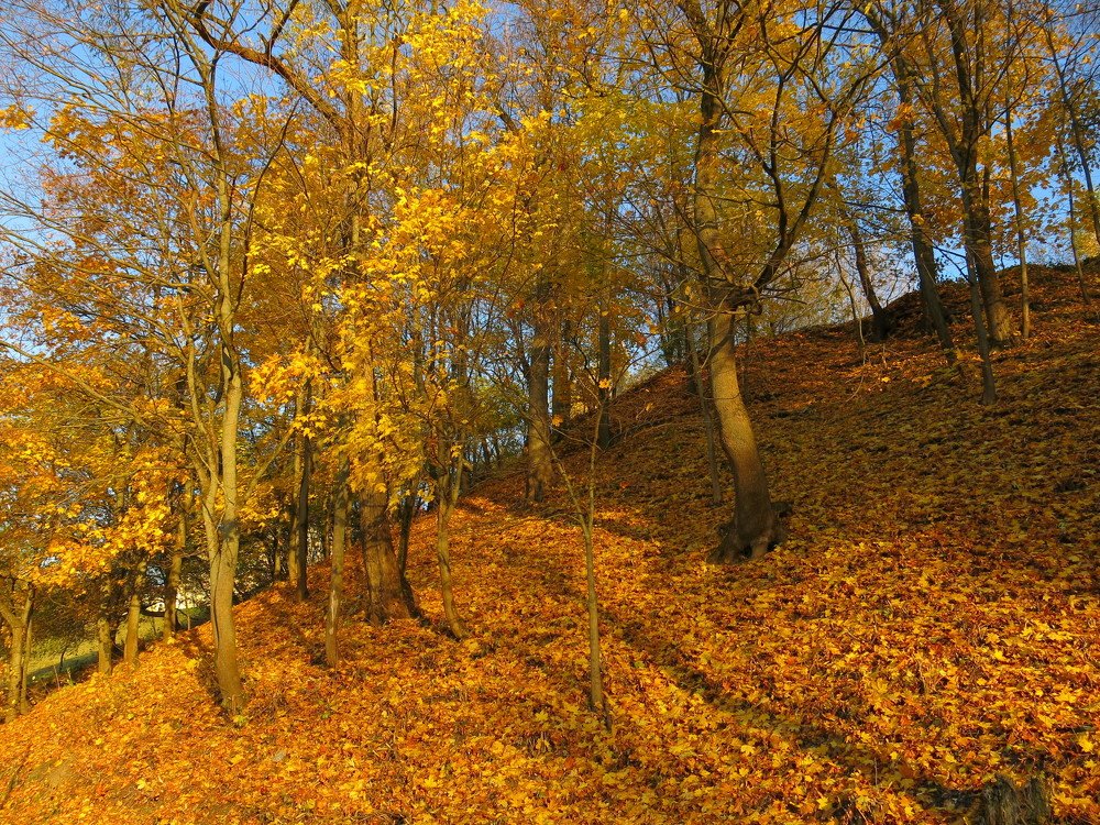 Photograph by ЭЛЬМИРА  ИСМАИЛОВА