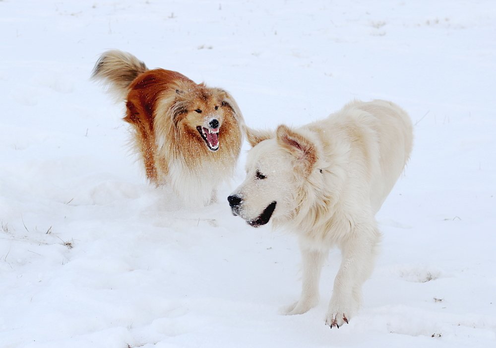Серьезный разговор
