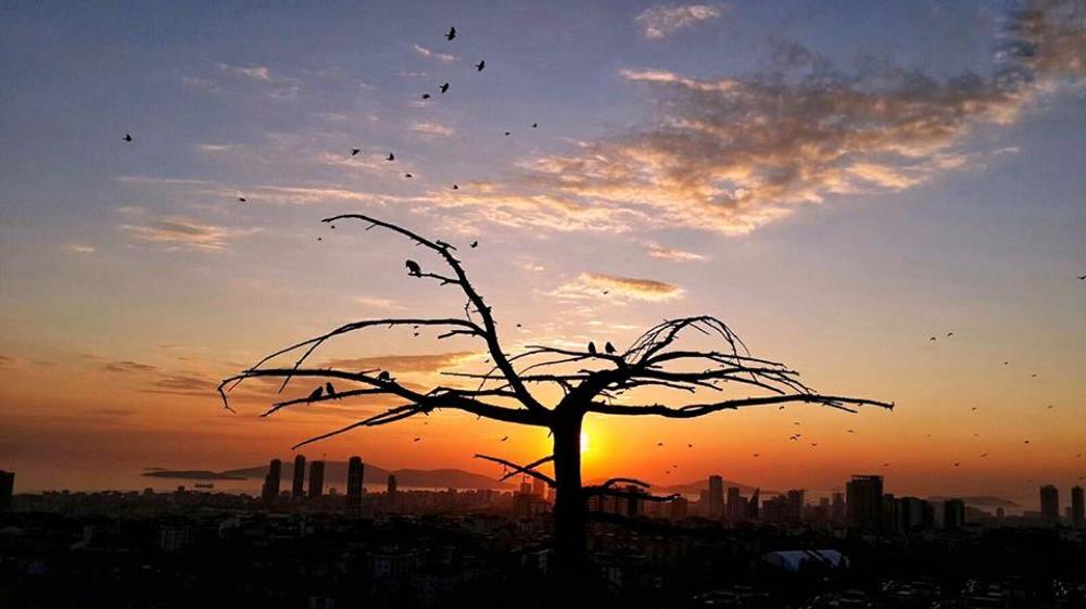 Фотография автора ilknur atlı