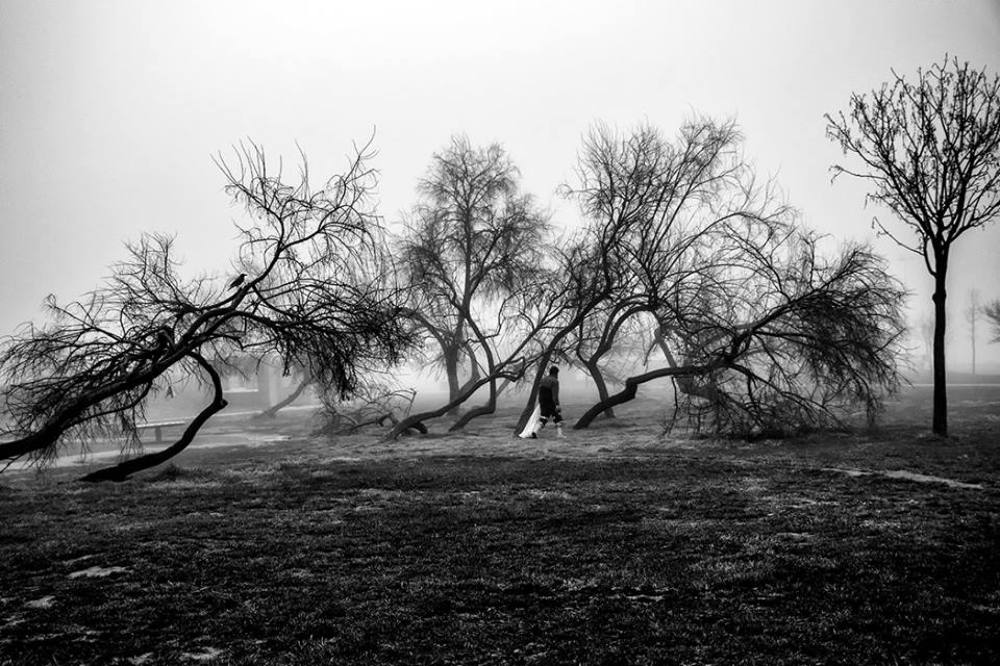 Фотография автора ilknur atlı
