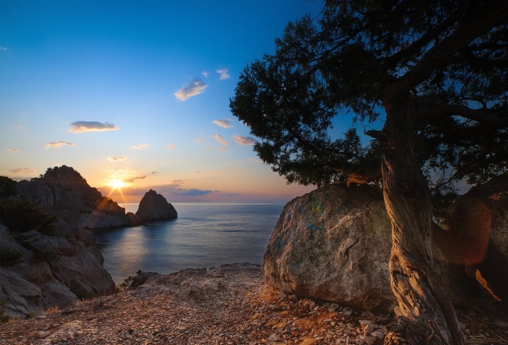 Photograph by Вержбицкая Валерия