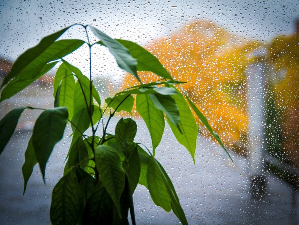 Photograph by Александр Макеенков
