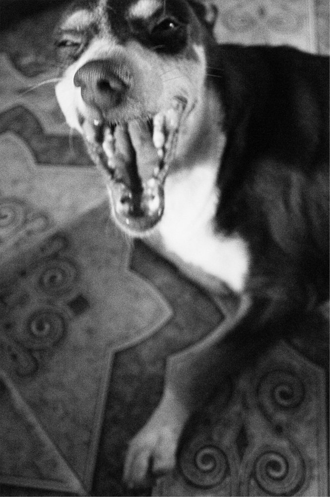 Photograph by Juan Pajaro Velasquez