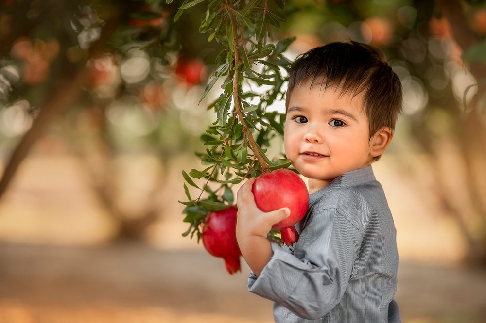 Photograph by Анна Барель