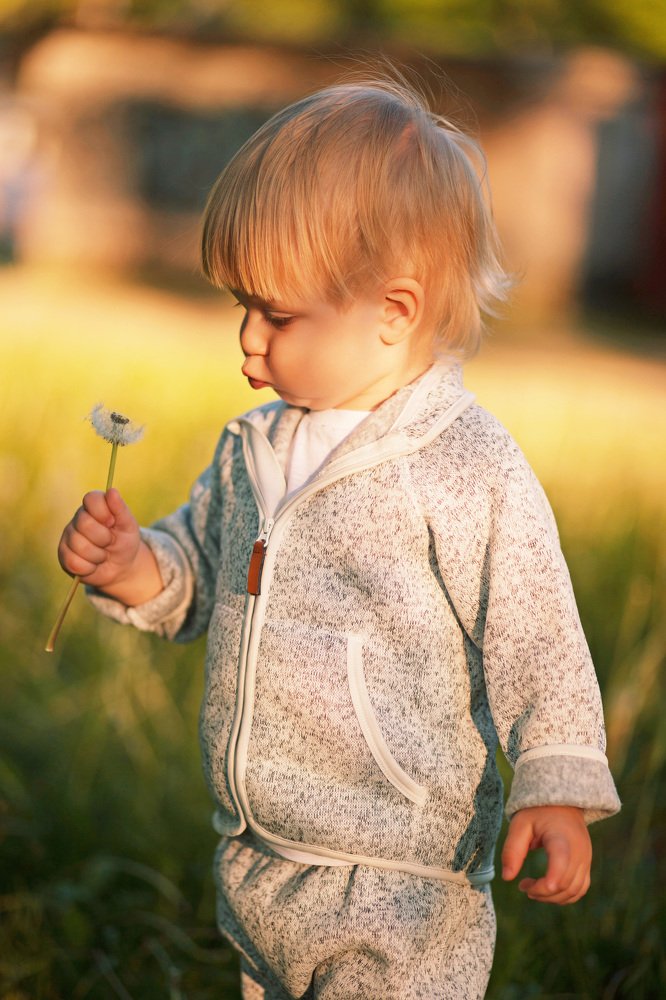 Boy and dandelion