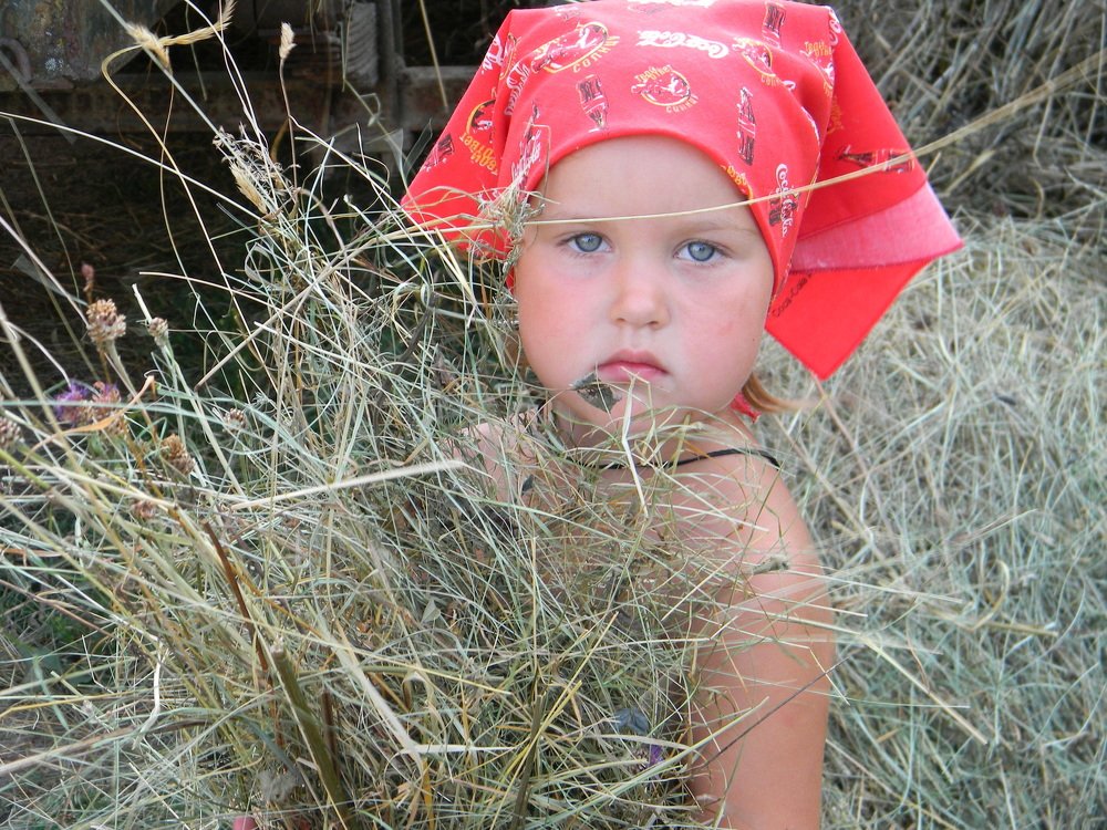 Photograph by Харис Шахмаметьев