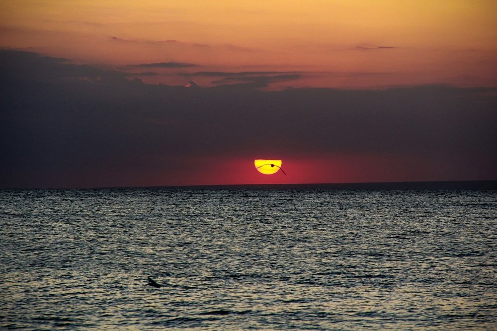 Photograph by Александр Макеенков