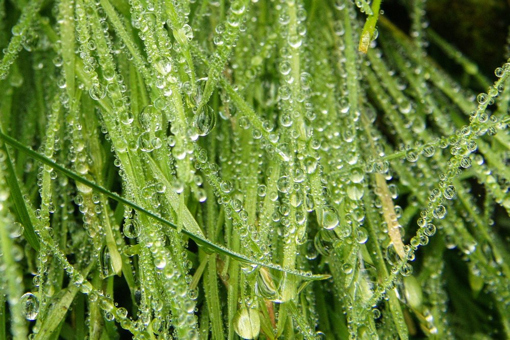 Photograph by Сергей Арямов