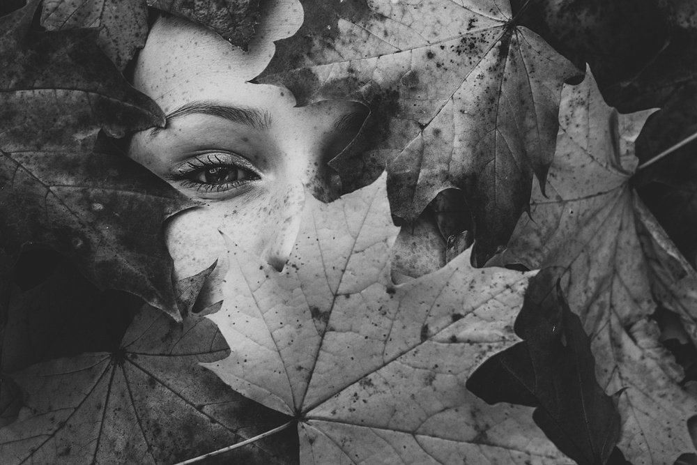 Photograph by Zdeněk Štěrbák