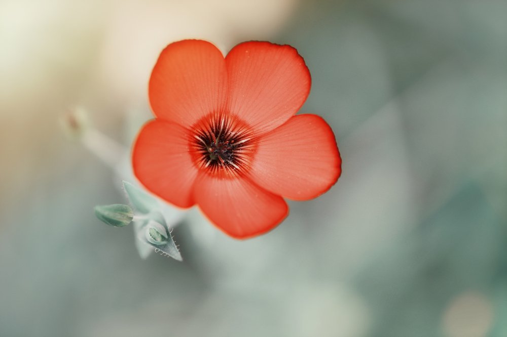 Photograph by Виктория Мейо