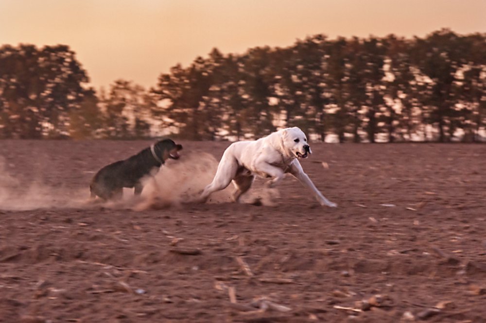 Photograph by Olha Nikitina