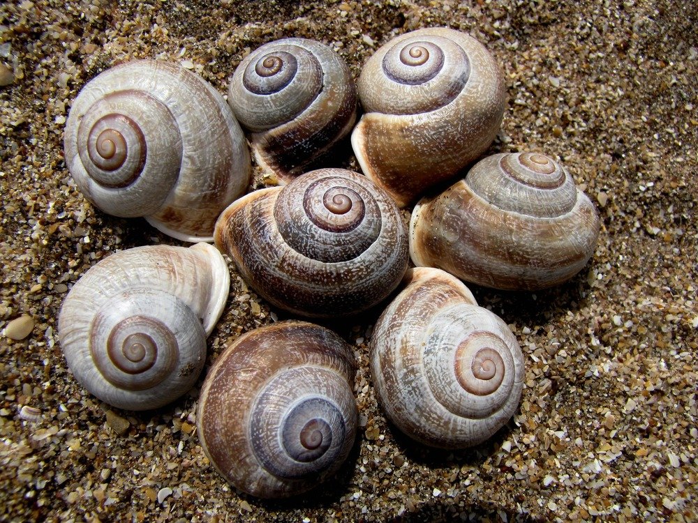 Photograph by Beatriz Games