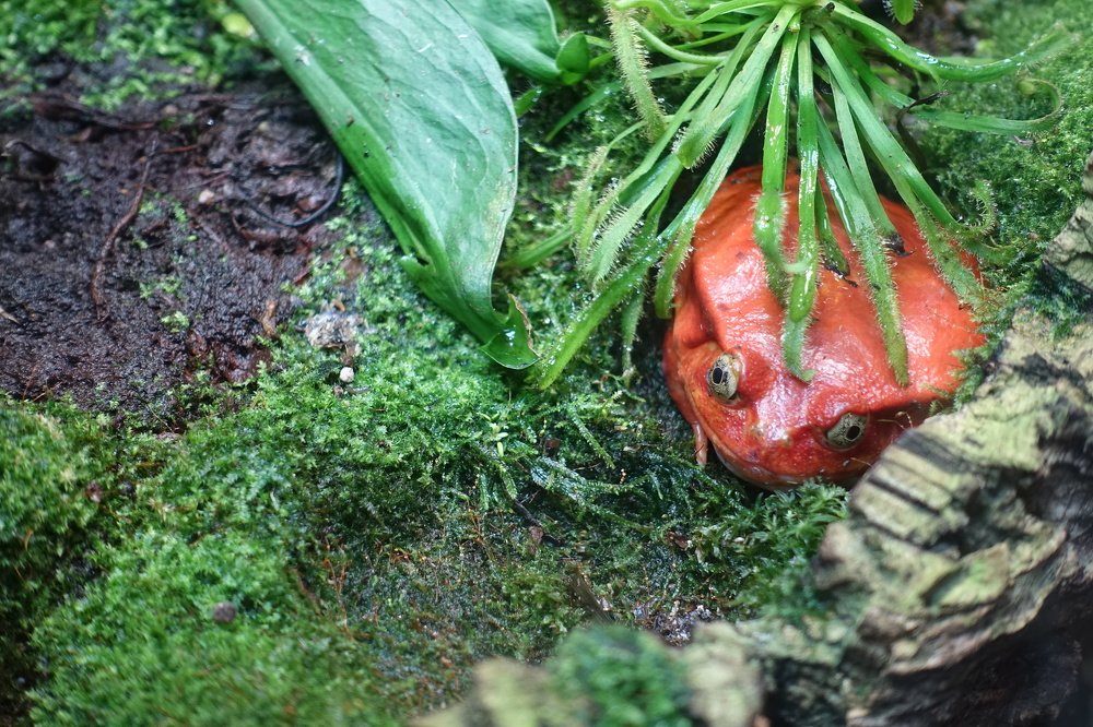 Photograph by Белоусов Александр