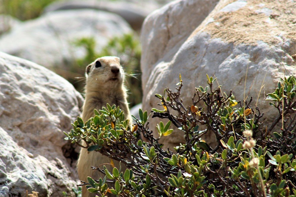 Photograph by CEM OĞUZ VUR