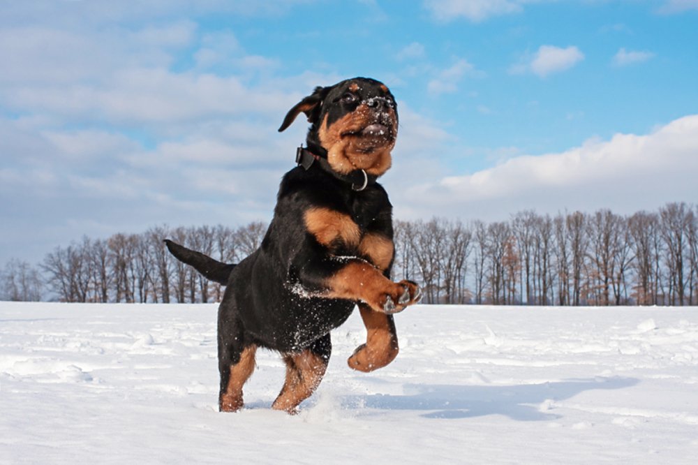 Photograph by Olha Nikitina