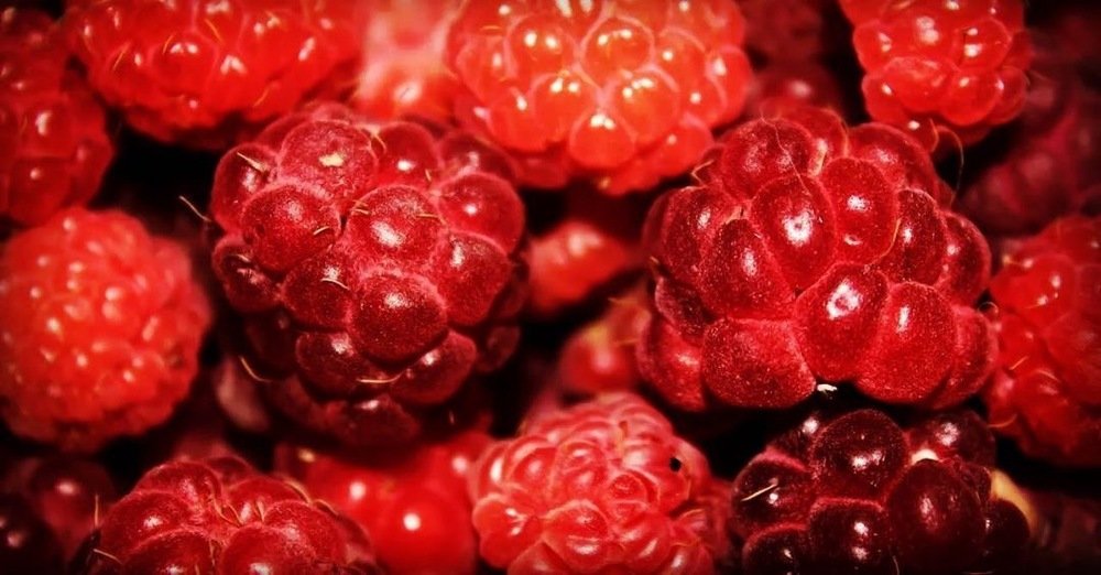 Photograph by Оксана Тонкошкурая