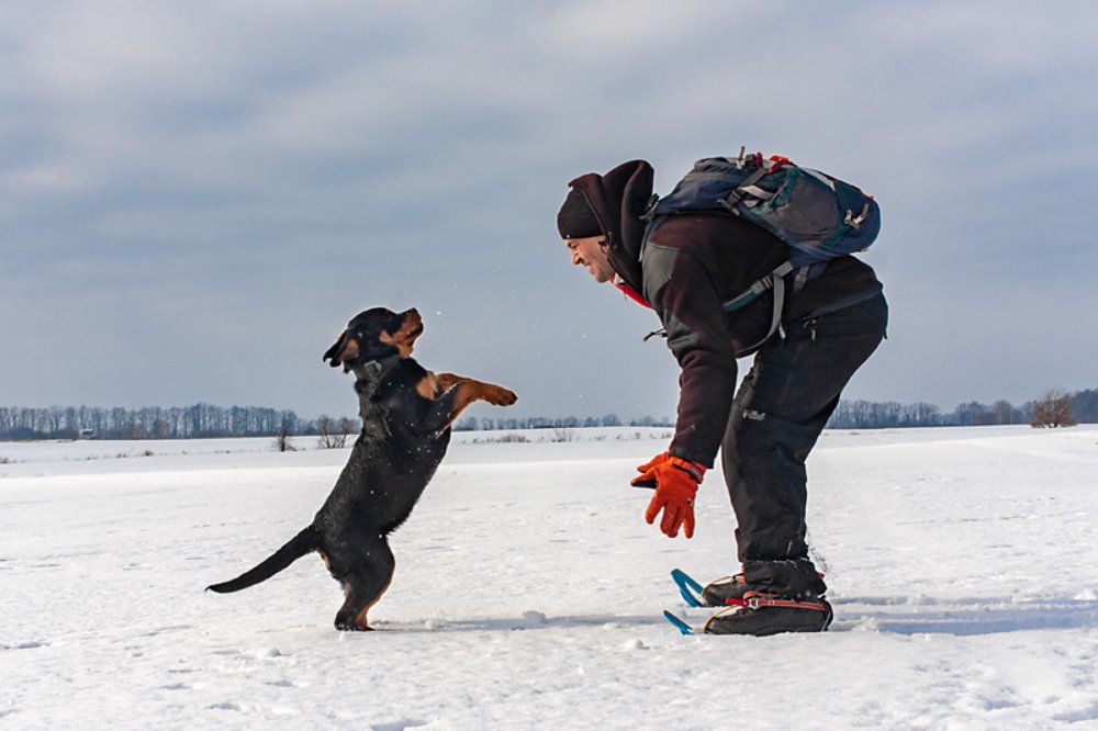 Photograph by Olha Nikitina