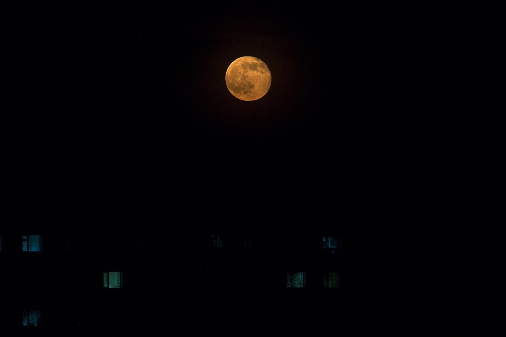 Photograph by Сергей Боравцов